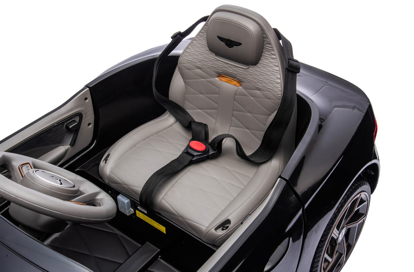 BENTLEY BACALAR