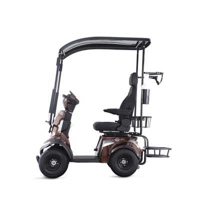 Golfcart lithium