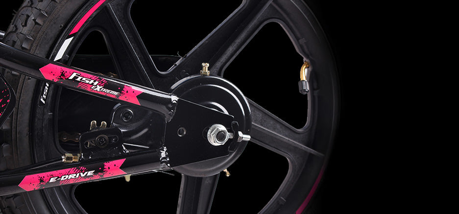 IML X 16”