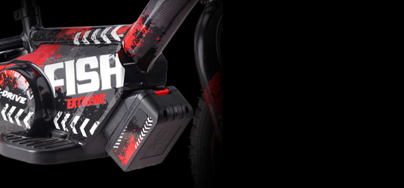 IML X 12”