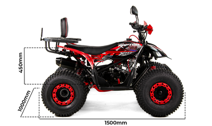 Raptor 125 PRO